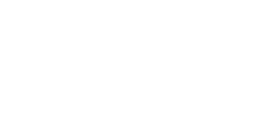 The Perritt Group